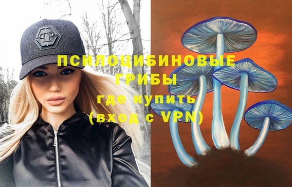 спиды Алексеевка