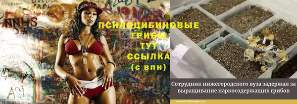 трава Алзамай